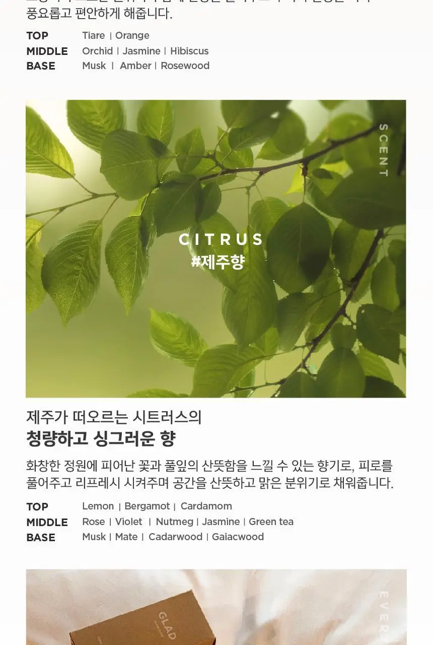 [NEW] 글래드 포레스트 룸스프레이 50ml 2종 택 1(서울/제주향) 상세페이지 3